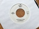 THE WATERBOYS / THE WHOLE OF THE MOON b/w MEDICINE BOW / RARE 45 rpm / UNPLAYED