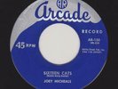 Joey Micheals - Sixteen Cats - Arcade orig rockabilly 45