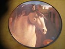 PICTURE MUSIC/INSTRUMENTAL-COMPILATION LP(SKY-GERMANY)PIC DISC