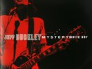 Jeff Buckley Mystery White Boy Live '95 - '96 double BRAND NEW vinyl LP record
