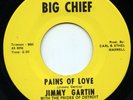 HEAR - Rare Country Bopper 45 - Jimmy Gartin - Pains Of Love - Big Chief # 1001