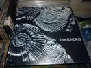 THE SUNDAYS READING WRITING ARITHMETIC LP ORIGINAL UK COPY VERY RARE