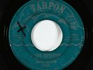 Northern Soul 45 - Denise LaSalle - A Love Reputation - Tarpon - mp3