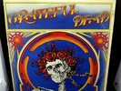 1971 Grateful Dead LIVE Self Titled Double LP Album Skull & Roses, Vinyl