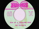 Reggae/Deep Soul Islands 45 - Gayletts - Son Of A Preacher Man - Hourglass - VG+