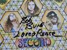 LYNYRD SKYNYRD LP SECOND HELPING 180 G BACK TO BLACK SIGNED BOB BURNS GARY ROSSI