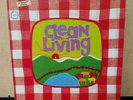 CLEAN LIVING - S/T, 1972 US Vanguard LP, Rural Psych Blues Gospel Masterpiece NM