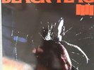 BLACK FLAG Damaged vynil