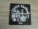 RAJA Lebanon LP 1980 Arabic RARE CULT Private Lebanese groove Zahr Rec ORIG mp3