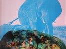 Elephants Memory POKORA 6001. ORIGINAL 1ST SPANISH NEAR MINT Buddah Vinyl LP