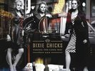 DIXIE CHICKS TAKING THE LONG WAY 2 LP VINYL NEW 33RPM