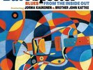 Dave Specter - Blues From The Inside Out (LP) - Vinyl Blues