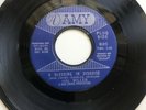 Hal Miller - A Blessing In Disguise/Cry Like The Rain * Amy Northern Soul 45
