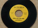 45 RPM RARE SOUL: Diplomats - Sure As The Stars Shine - 3rd World TW-501 - Mint