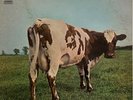 Pink Floyd Atom Heart Mother Lp Record ITALIA Vinile Prima Stampa 1970 Raro