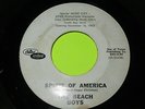 BEACH BOYS SPIRIT OF AMERICA BOOGIE WOODIE 7