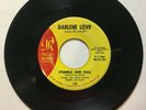 DARLENE LOVE Quiet Guy Stumble And Fall Philles 123 promo Phil Spector Degritter