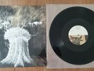 Radiohead Pyramid Song 12” Vinyl Rare 2001 Single Record