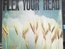 Flex Your Head Dischord LP 1982 Wheat Cover w/POSTER Minor Threat VG+/VG 