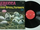 Rebecca And The Sunny Brook Farmers - BIRTH 1969 PSYCH vinyl lp NM/EX MS 3176