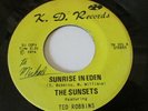 PRIVATE 1974 WI CRUDE Garage Rock 45 - THE SUNSETS 