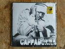 Cappadonna ?– The Pillage - 2 LP Vinyl - 1998 - Wu-Tang Clan