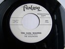 Monster Rare Garage Rock 45 **Golliwogs** Early Creedence Clearwater  NM PROMO