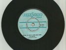 HAMLINS / TRYING TO KEEP A GOOD MAN DOWN / SUMMERTAIRS / OH  MY DARLING / 7''/