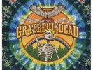 Sunshine Daydream: Veneta, OR, August 27th, 1972 by Grateful Dead (4 LP)