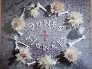 1988 ALT ROCK - SCREAMING TRIBESMEN (KLONDIKE) - BONES + FLOWERS LP - SIGNED EX