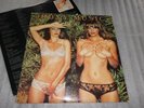 Roxy Music ' Country Life ' Vinyl Album Island Records Palm Tree Label