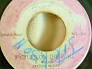 FREDDIE McKAY PICTURE ON THE WALL/VERSION on MONEY DISC STUDIO ONE