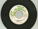 BRIGADIER JERRY / WHAT'S GOING ON / MILITANTS / PEACE & UNITY / 7''/