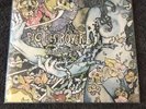 Pig Destroyer Phantom Limb LP Vinyl Beer Color