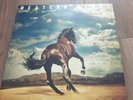 Bruce Springsteen Western Stars Limited Edition Blue Vinyl LP