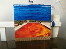 red hot chili pepper album californication double vinyle 1999 bon état