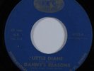 Garage Surf 45 DANNY'S REASONS Little Diane INTERNATIONAL RECORDING CO HEAR