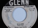Instr Rock & Roll Tittyshaker 45 SKIPPER HUNT COMBO Scalded GLENN HEAR