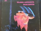 Black Sabbath 5 LPs Paranoid Vertigo Swirl, Tyr, Eternal Idol, Seventh Star