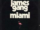 James Gang vinyl LP album record Miami USA SD36-102 ATCO 1974