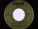 Garage Psych 45 - Invisible Burgundy Bullfrog - Batman Rides - Panther - VG+ mp3