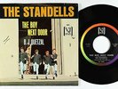 Garage Teen 45 - Standells - The Boy Next Door - Vee-Jay - VG++ mp3
