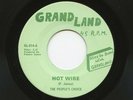 MINT-, 45RPM_R&B, SOUL_THE PEOPLE'S CHOICE - HOT WIRE & EASE THE PAIN_GRAND LAND