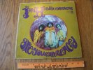The Jimi Hendrix Experience Are You Experienced? LP Vinyl record Reprise RS 6261