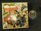 Beach Boys - Wild Honey LP VINYL. 1967 Stereo. USA Original. Not Pet Sounds.