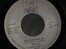 STYLE: Party Jam / You Turn Me On 45 (close to M-) rare Soul