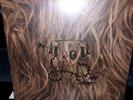 SUPER FURRY ANIMALS- AT THE BBC-  4 VINYL LP BOX SET  Limited To 500