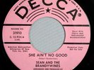 HEAR IT Punk Garage Promo 45 rpm Sean & Brandywines 
