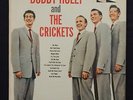 BUDDY HOLLY  