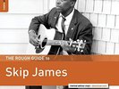 THE ROUGH GUIDE TO SKIP JAMES [2/22] * NEW VINYL
